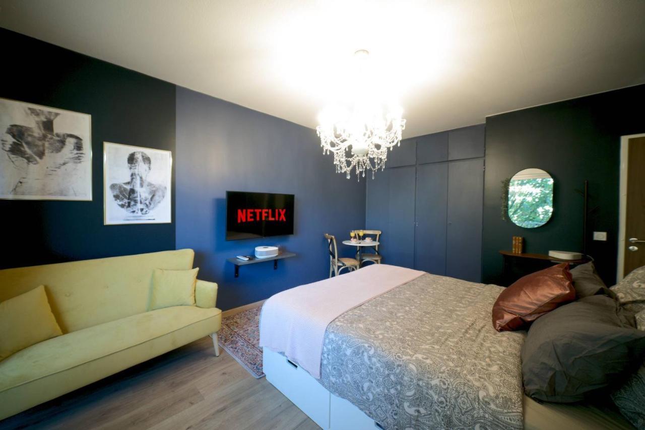 Le Boudoir, Centre Ville, Parking Couvert Inclus Mulhouse Exterior photo